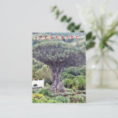 Tenerife drakenboom uitzicht briefkaart (Staand voorkant)