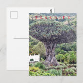 Tenerife drakenboom uitzicht briefkaart (Voorkant / Achterkant)