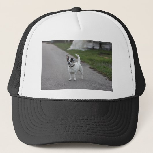 Tenerife Hond die er Schattig uitziet! Trucker Pet (Voorkant)