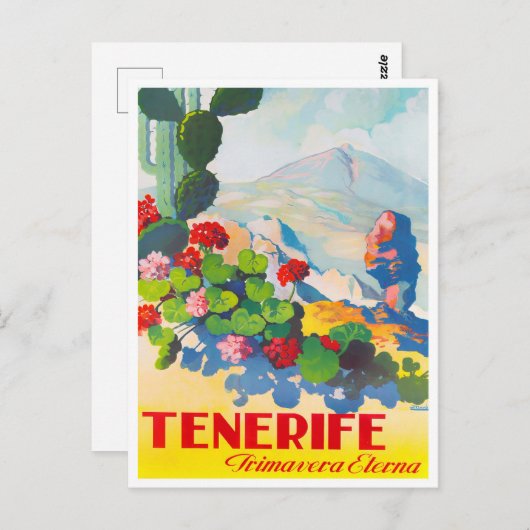 Tenerife Spanje briefkaart van het vliegverkeer (Voorkant / Achterkant)