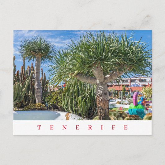Tenerife unieke bomen uitzicht briefkaart (Voorkant)