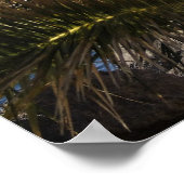 Teneriffa Poster (Hoek)