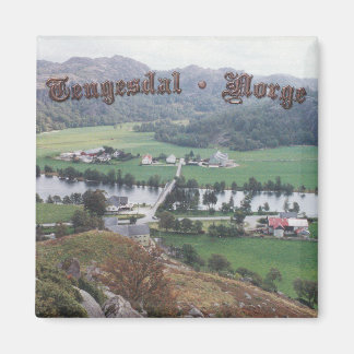 Tengesdal-vallei Magneet