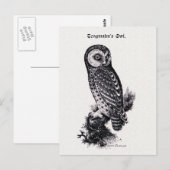 Tengmalm's Owl Bird Illustration Briefkaart (Voorkant / Achterkant)