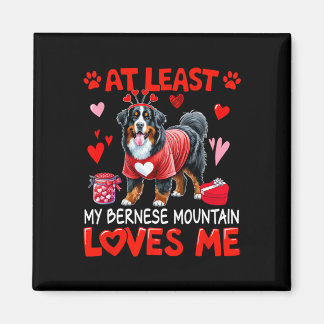 Tenminste, mijn Berner berg houdt van mij Valentij Magneet