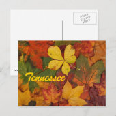Tennessee Autumn Leaves Briefkaart (Voorkant / Achterkant)