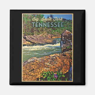 Tennessee Big South Fork Magneet