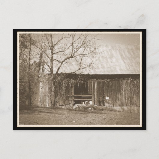 Tennessee Boerderij Old Barn Briefkaart (Voorkant)