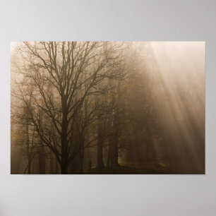 Tennessee-bomen in mist Great Smoky Mountain Poster