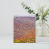 TENNESSEE BRIEFKAART (Staand voorkant)