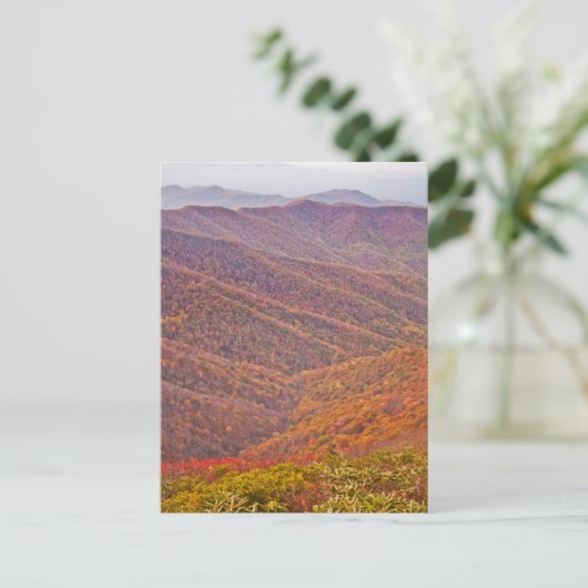 TENNESSEE BRIEFKAART (Staand voorkant)