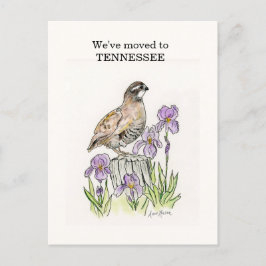 Tennessee Briefkaart