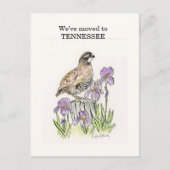 Tennessee Briefkaart (Voorkant)