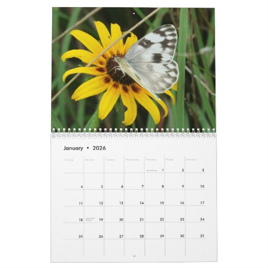 Tennessee Butterflies Kalender (Jan 2026)