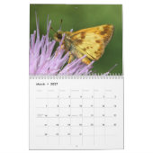 Tennessee Butterflies Kalender (Mar 2027)