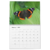 Tennessee Butterflies Kalender (Feb 2027)