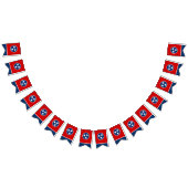 Tennessee Flag Party (Tennessee Flag Party), banne Vlaggetjes (Alle)