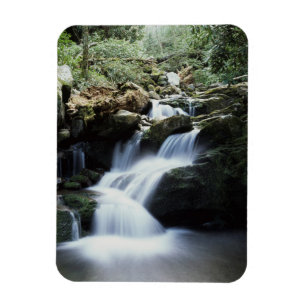 Tennessee, Great Smoky Mountains National Park 3 Magneet