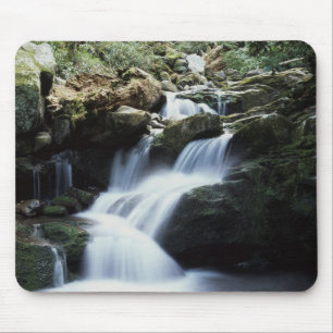 Tennessee, Great Smoky Mountains National Park 3 Muismat