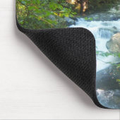 Tennessee Great Smoky Mountains Park schilderachti Muismat (Hoek)