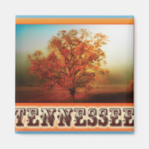 Tennessee Herfst Tree Scene Magneet