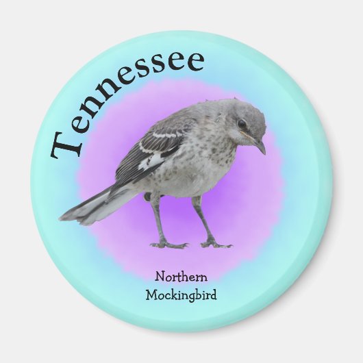 Tennessee Magneet (Voorkant)