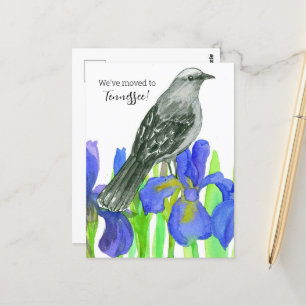 Tennessee Mockingbird Iris aangekondigd Briefkaart