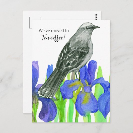 Tennessee Mockingbird Iris aangekondigd Briefkaart (Voorkant / Achterkant)