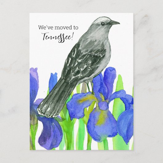 Tennessee Mockingbird Iris aangekondigd Briefkaart (Voorkant)