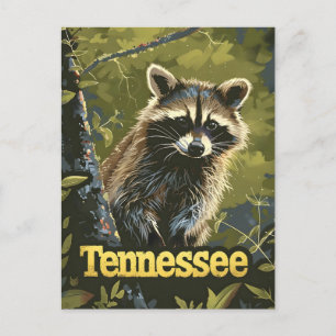 Tennessee Raccoon Briefkaart