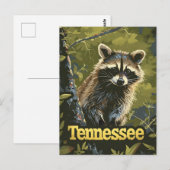 Tennessee Raccoon Briefkaart (Voorkant / Achterkant)
