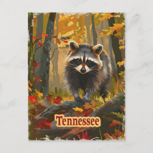 Tennessee Raccoon Briefkaart
