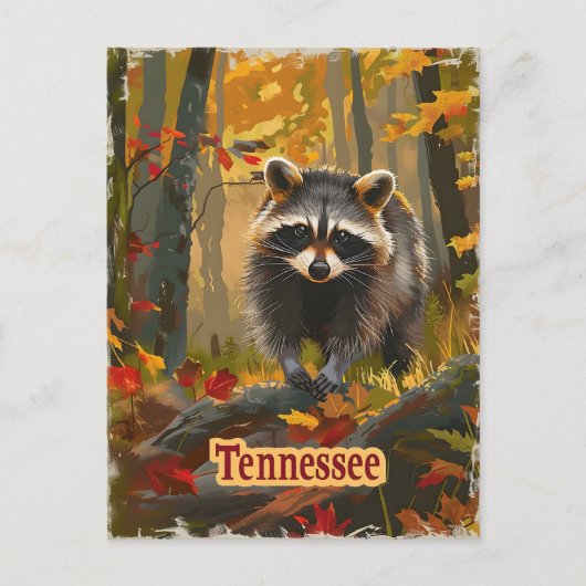 Tennessee Raccoon Briefkaart (Voorkant)