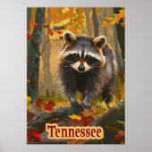 Tennessee Raccoon Poster (Voorkant)