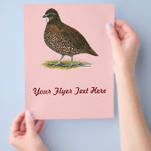 Tennessee Red Quail Flyer (Hand)