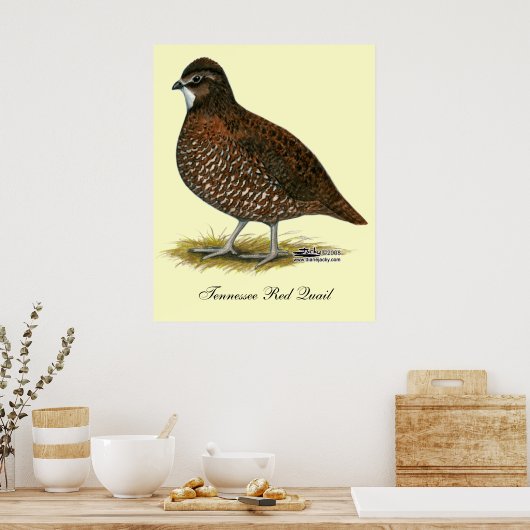 Tennessee Red Quail Poster (Keuken)