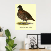 Tennessee Red Quail Poster (Thuiskantoor)