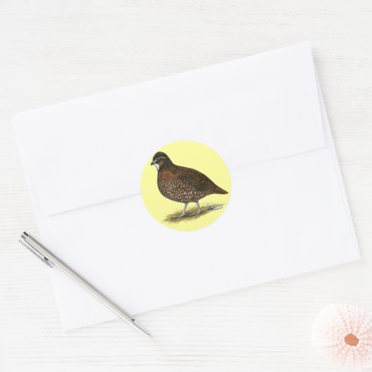 Tennessee Red Quail Ronde Sticker (Envelop)