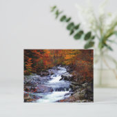 Tennessee, Smoky National Park Briefkaart (Staand voorkant)