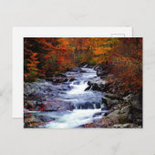 Tennessee, Smoky National Park Briefkaart (Voorkant / Achterkant)