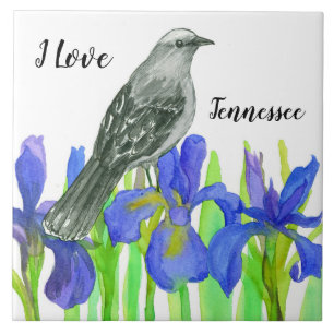 Tennessee Souvenir Gele Vogel Blauwe Iris Tegeltje