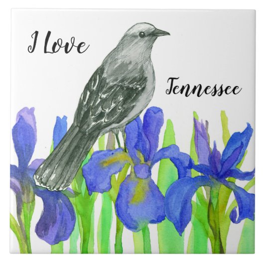 Tennessee Souvenir Gele Vogel Blauwe Iris Tegeltje (Voorkant)