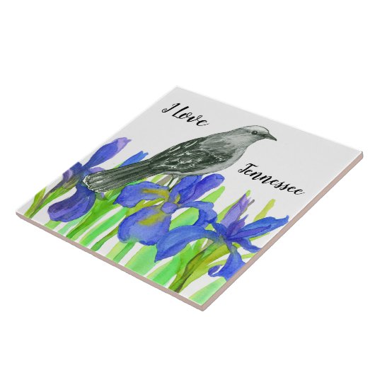 Tennessee Souvenir Gele Vogel Blauwe Iris Tegeltje (Zijkant)