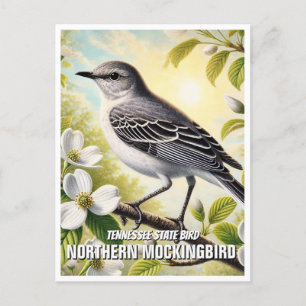 Tennessee State Bird Northern Mockingbird Briefkaart