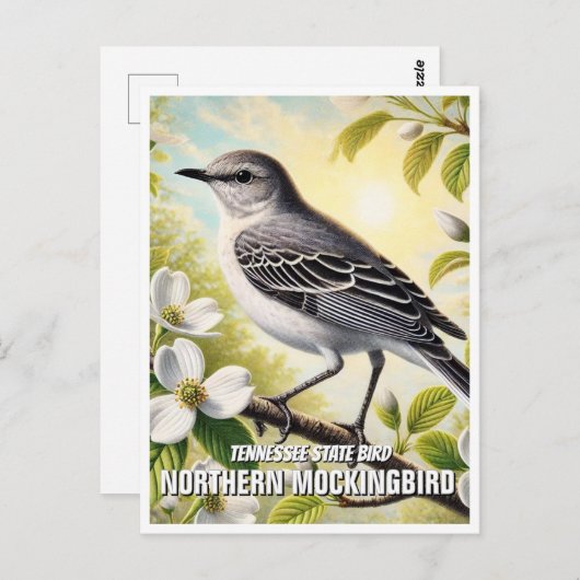Tennessee State Bird Northern Mockingbird Briefkaart (Voorkant / Achterkant)