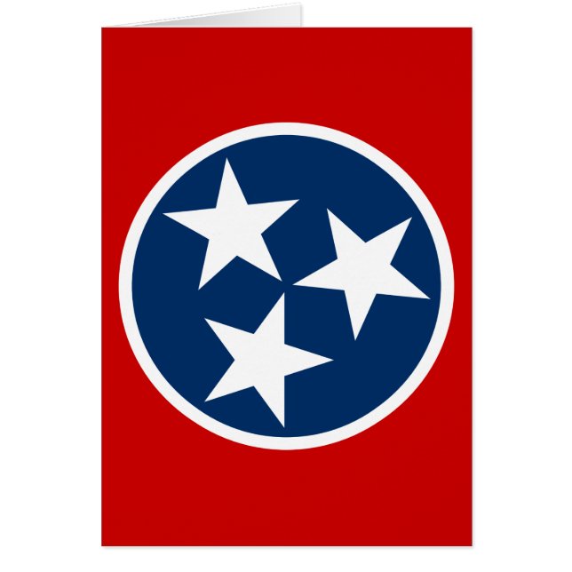 Tennessee State Flag Blue White Stars (Voorkant)