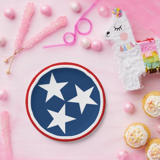 Tennessee State Flag Blue White Stars Papieren Bordje (Feest)