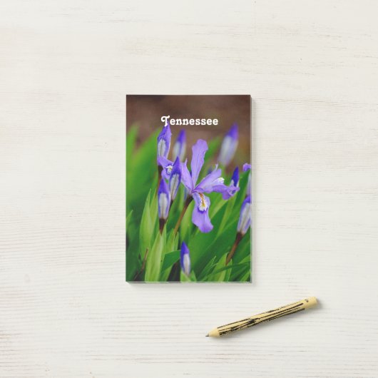 Tennessee State Flower Post-it® Notes (Op bureau)