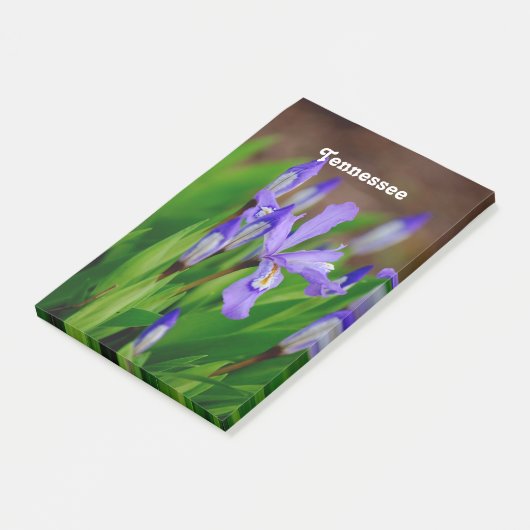 Tennessee State Flower Post-it® Notes (Schuin)