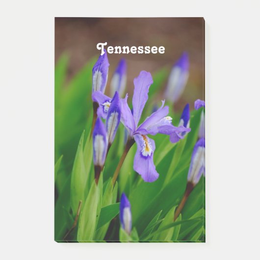 Tennessee State Flower Post-it® Notes (Voorkant)
